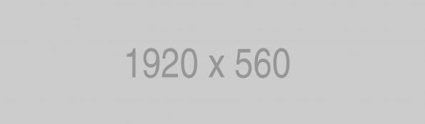 BELE24